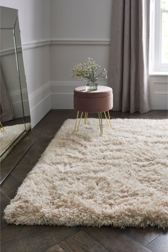 Looking a large rug for your living room_